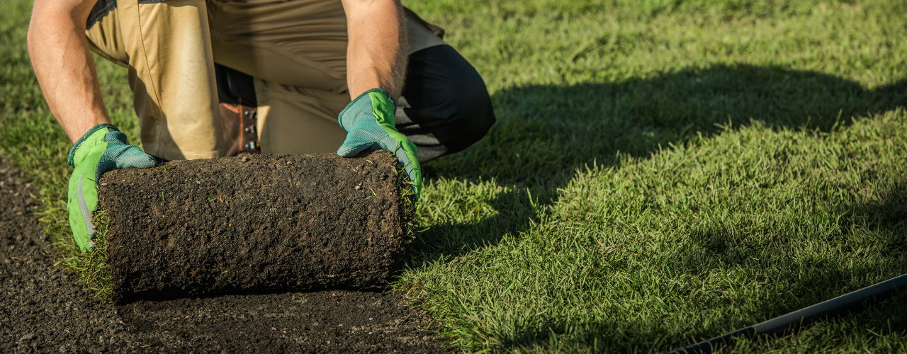 Nie tylko o zimie. Jakie usługi oferujemy na wiosnę i jesień?
