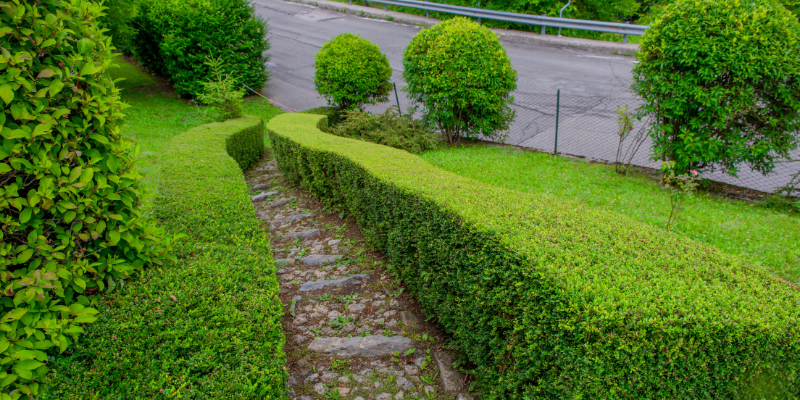 Zielona infrastruktura a bezpieczeństwo – jak pielęgnacja terenów wpływa na ryzyko wypadków?