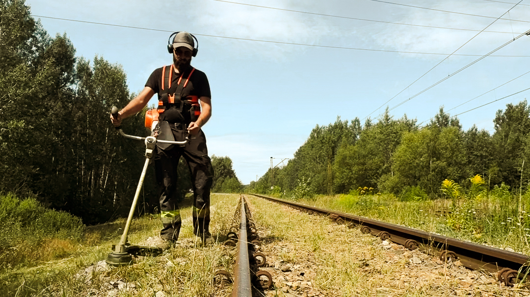 Jak i dlaczego należy kosić tereny kolejowe? Poradnik dla zarządców infrastruktury